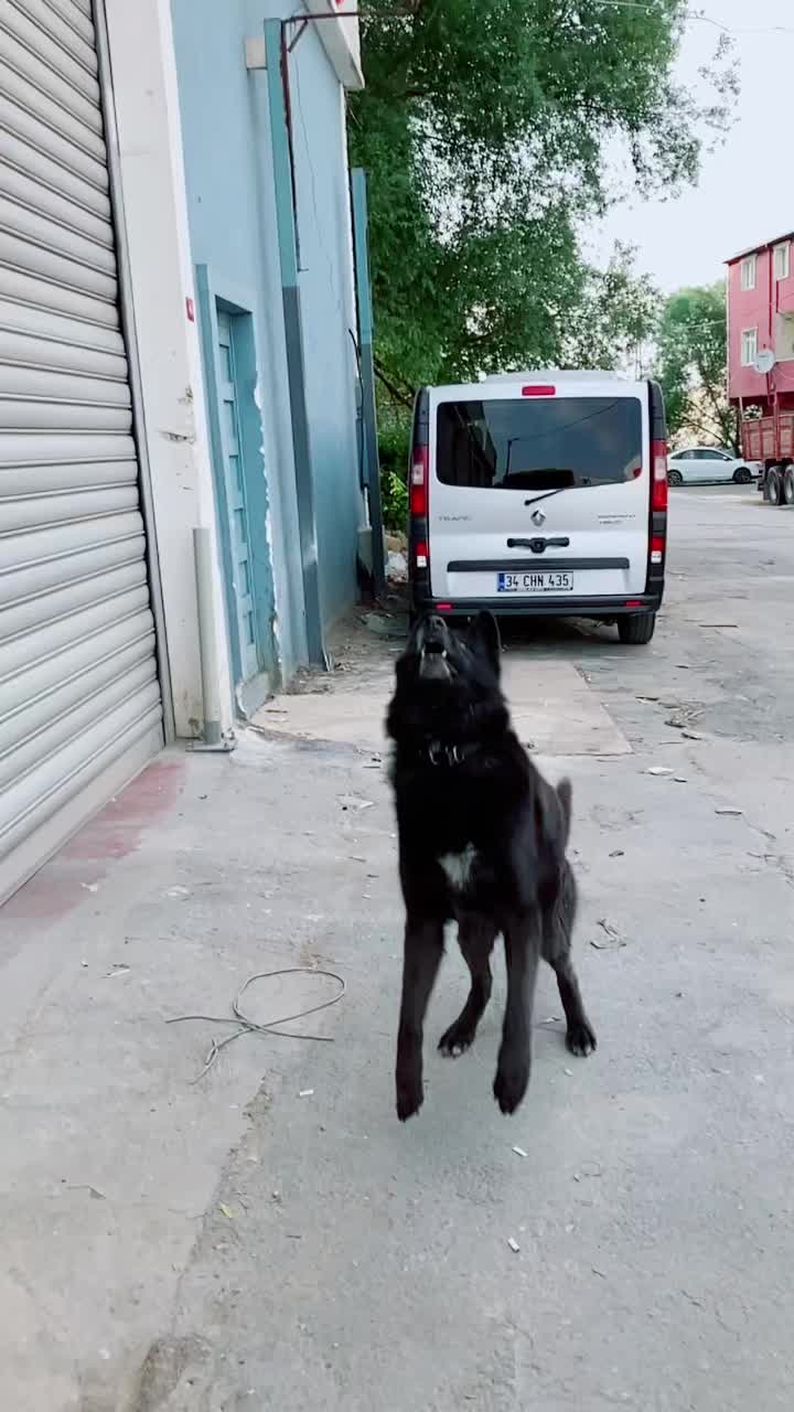 @Serkan