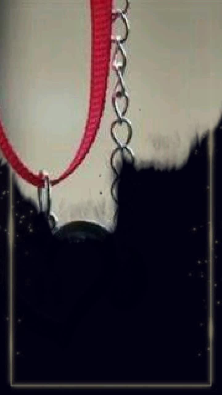 @Artist๐ฉ๐จ๐
