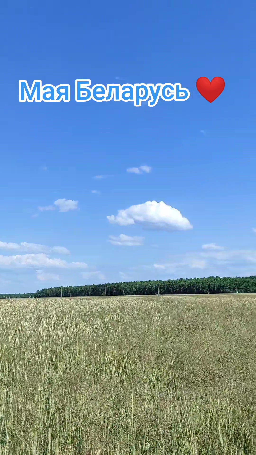 @❤️Ольга Титова👠