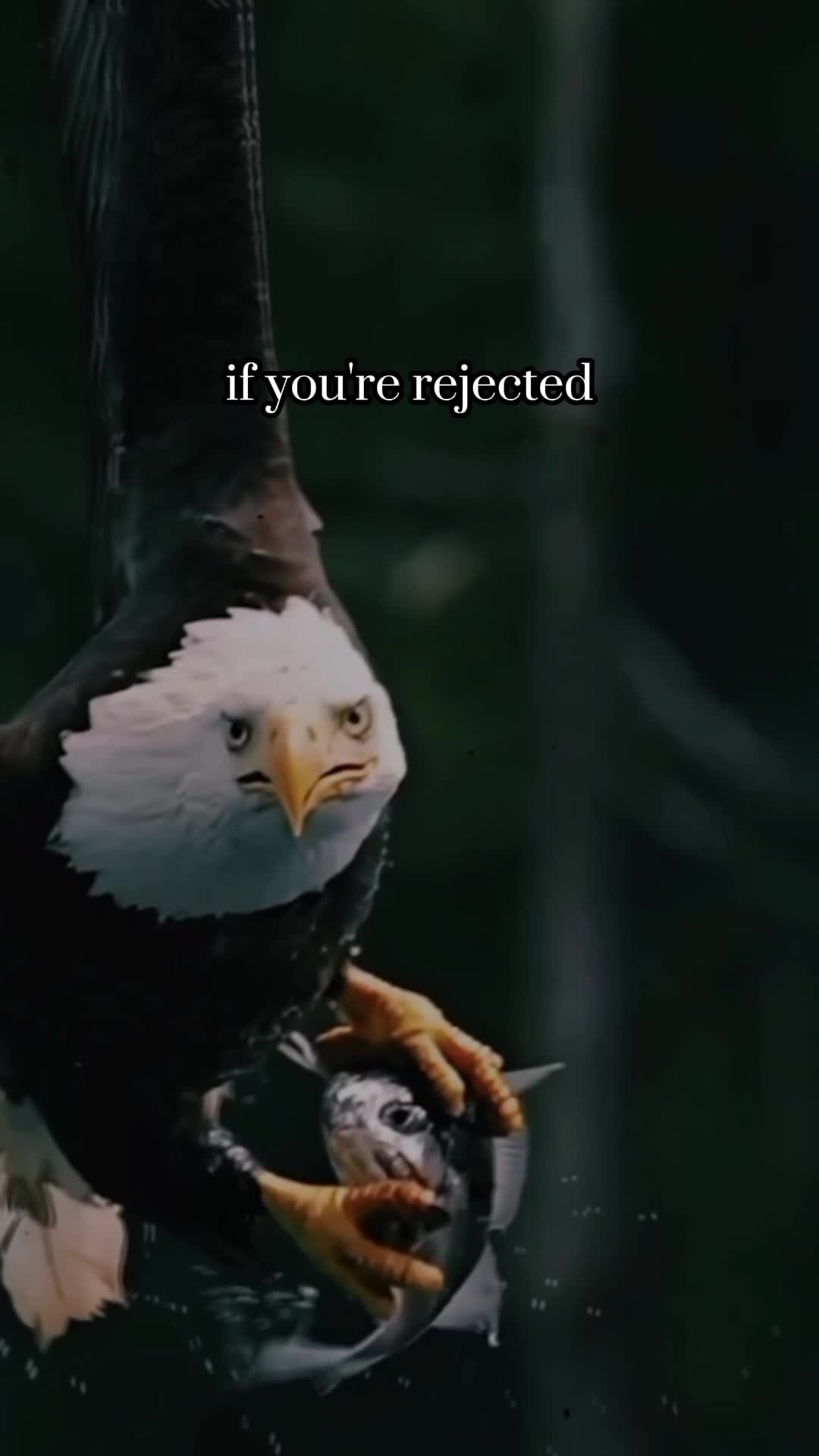 @Leجend