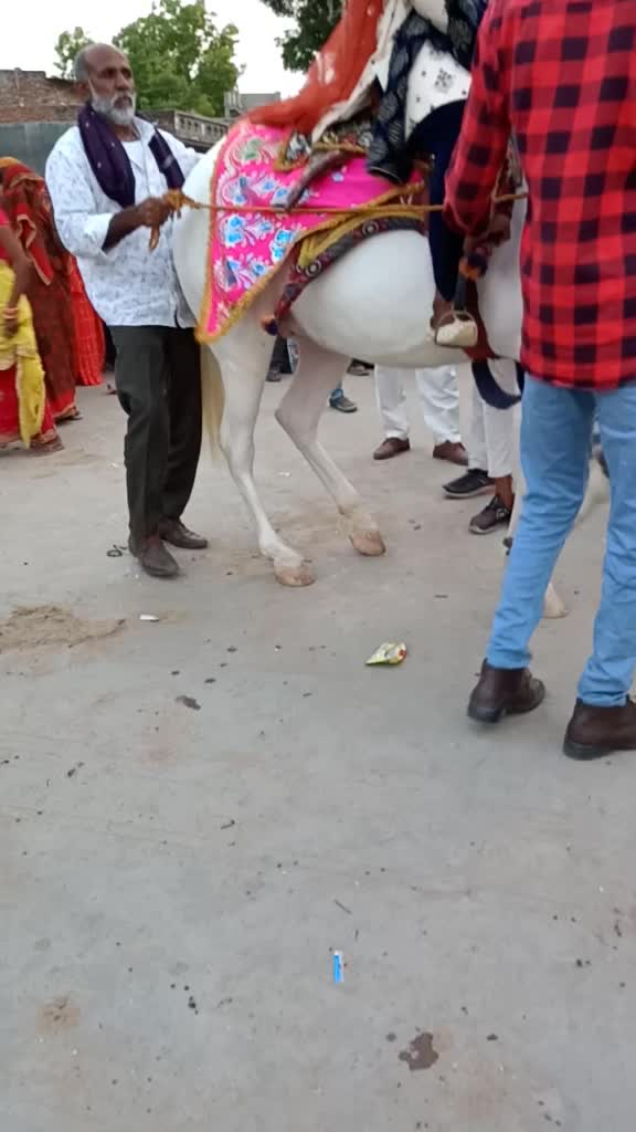 @Sandhi Javedali