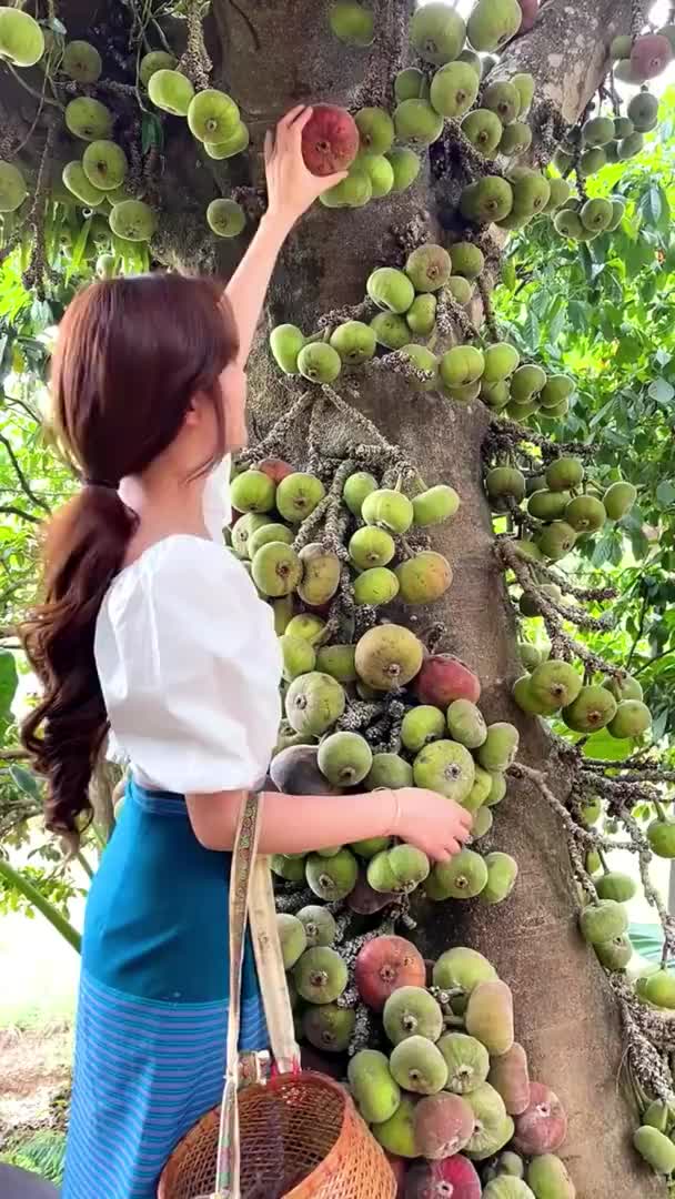 @🍎🍓🍒🍊🍍