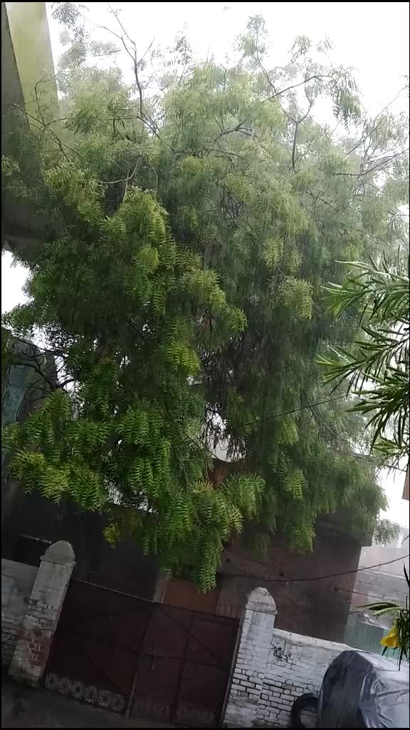 @Neha Rishabh Shukla
