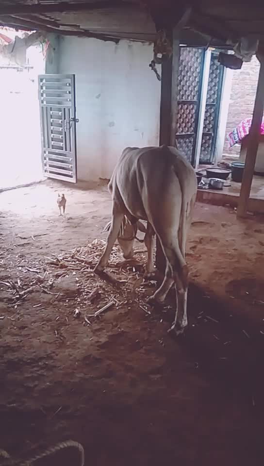 @katkam_naveen🇮🇳