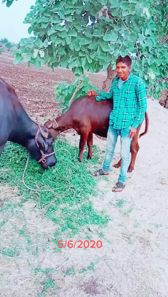 @Sonu Dhanger kesunda