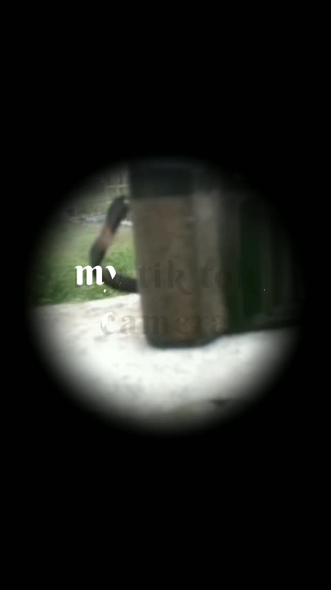@rachitsen