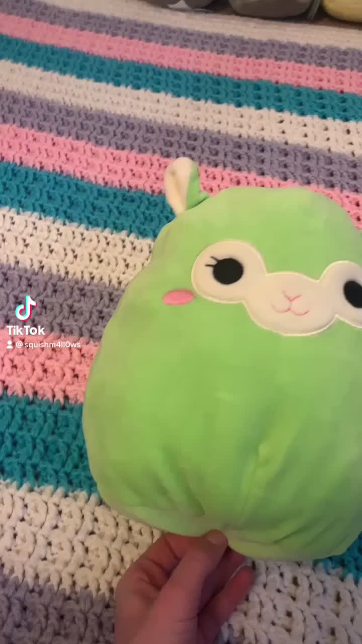 @&bull; squishmallows &bull;