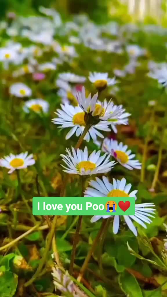 @💙ADITI_RIZWAN💙