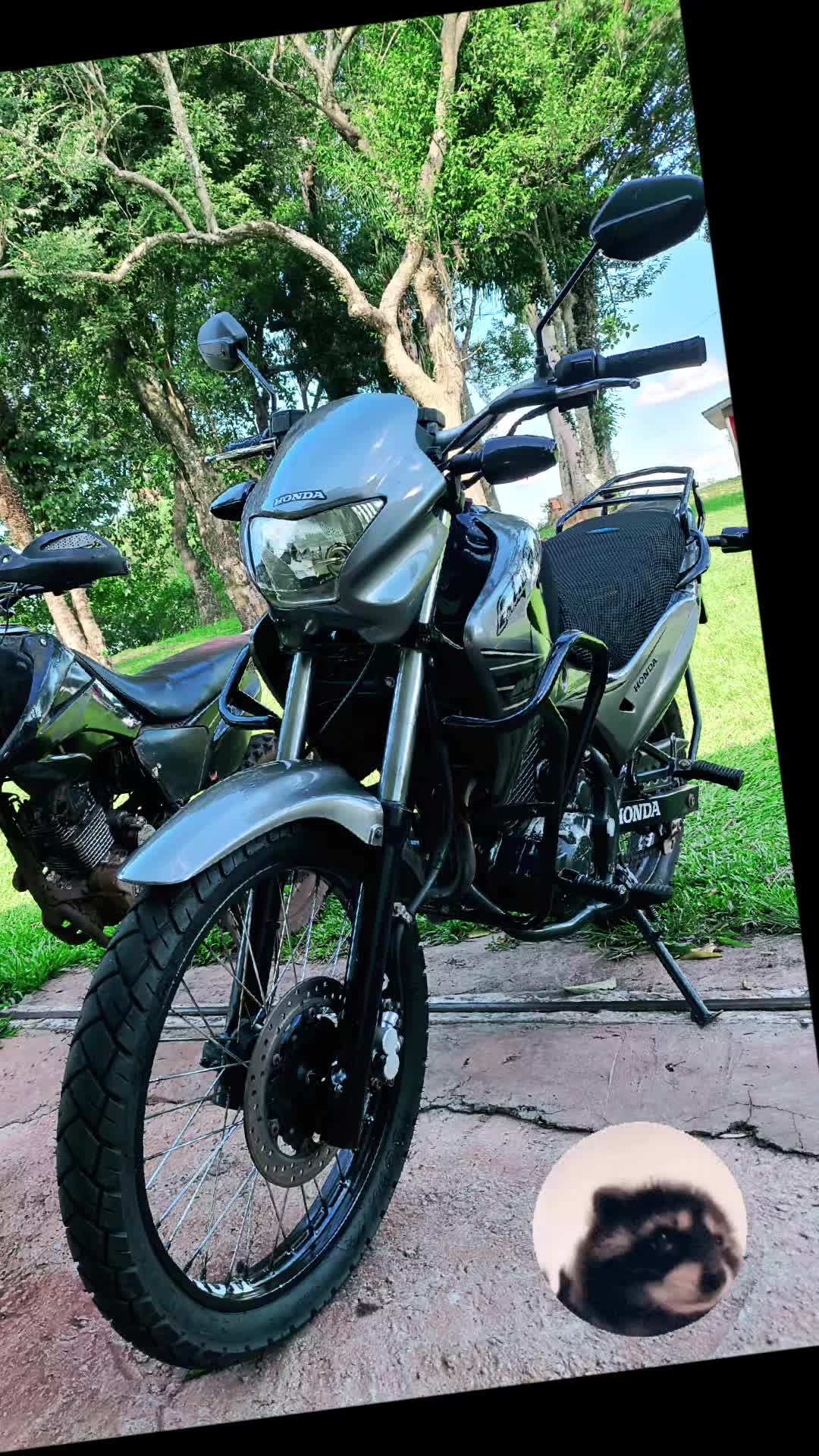 @Falcon_TremBala