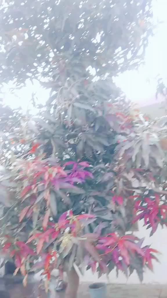 @user476103
