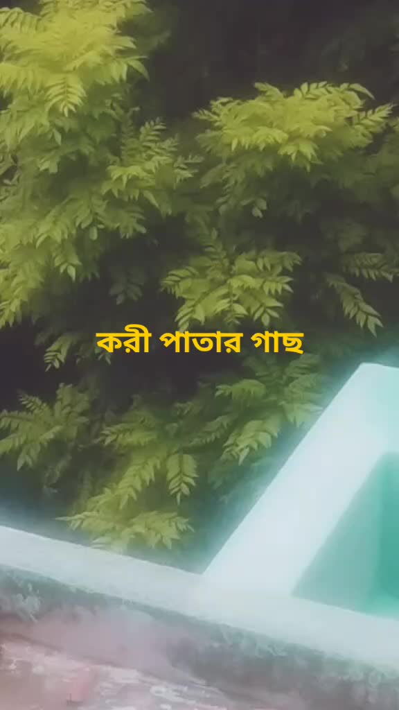 @subhambag