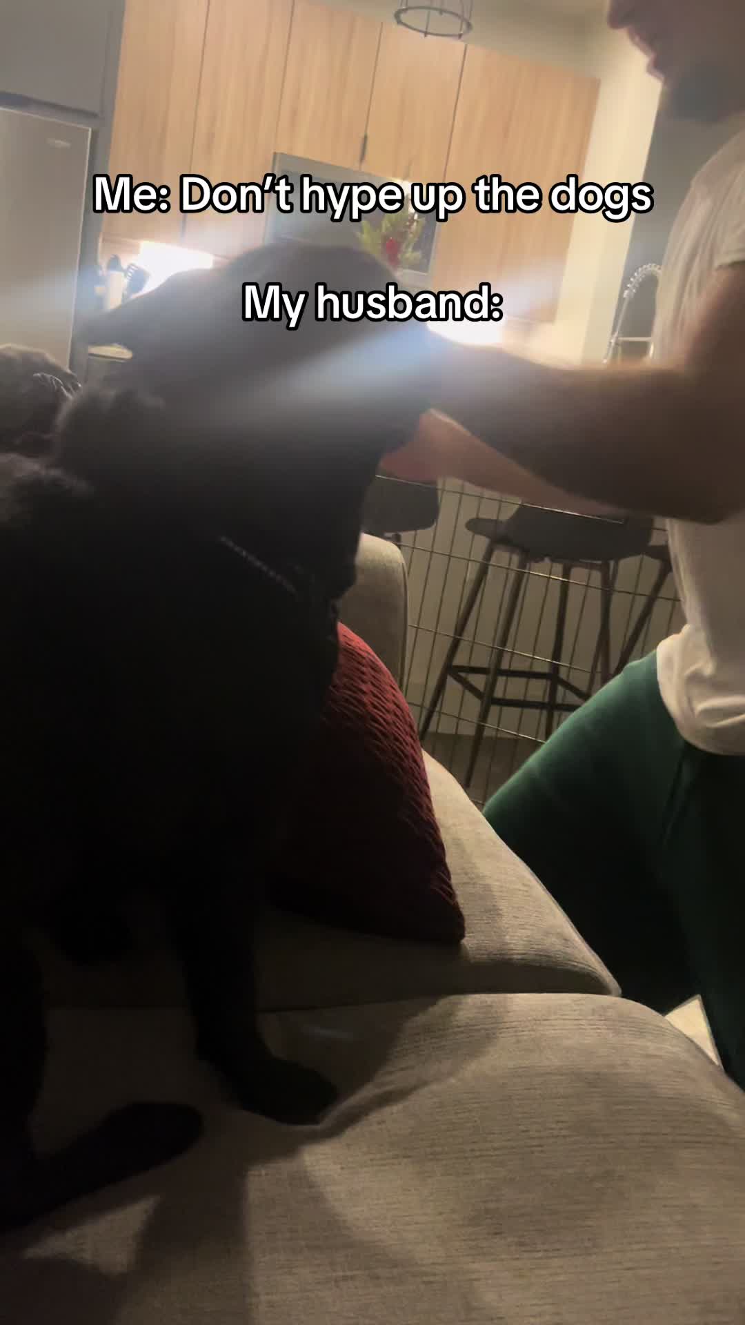 @Rigatoni the Pug