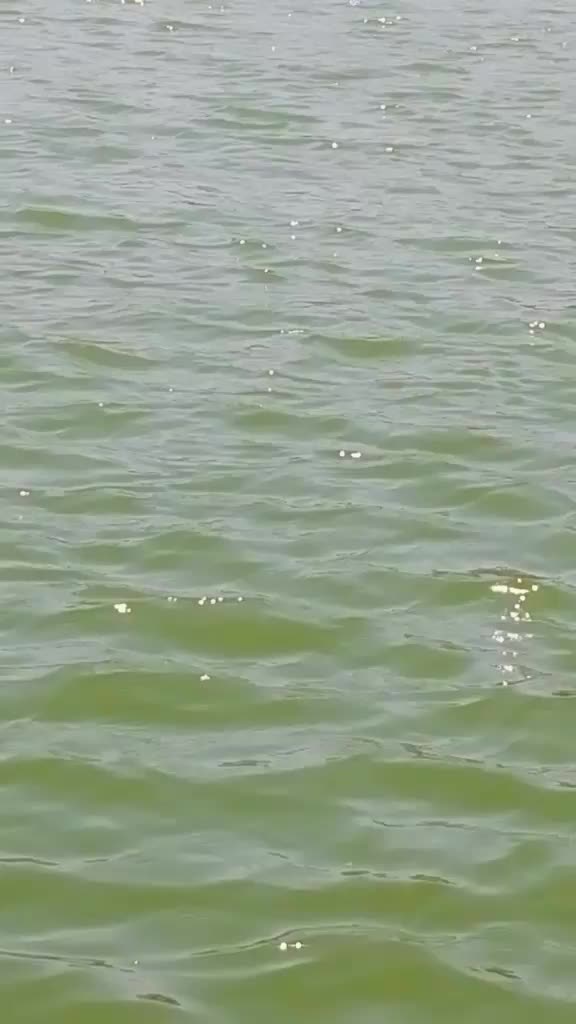 @jitu. Nangaliya