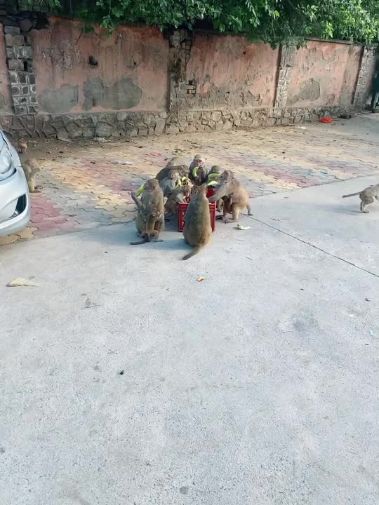 @Deepakrana1008