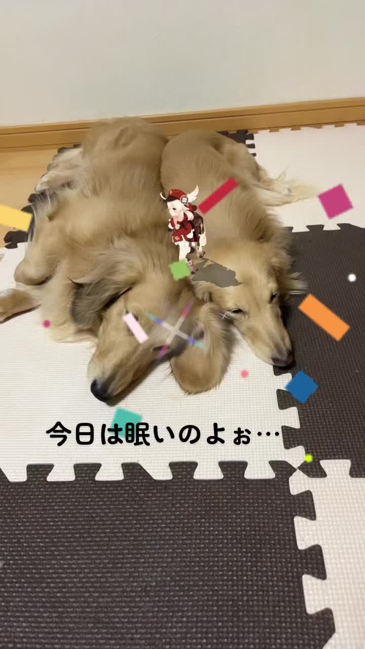 @まろん👑きゃきゃお