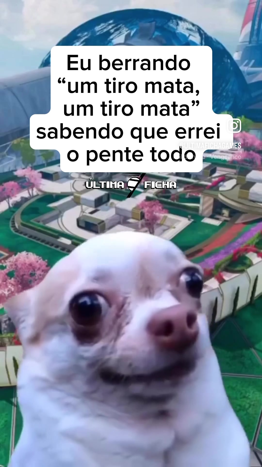 @&Uacute;ltima Ficha
