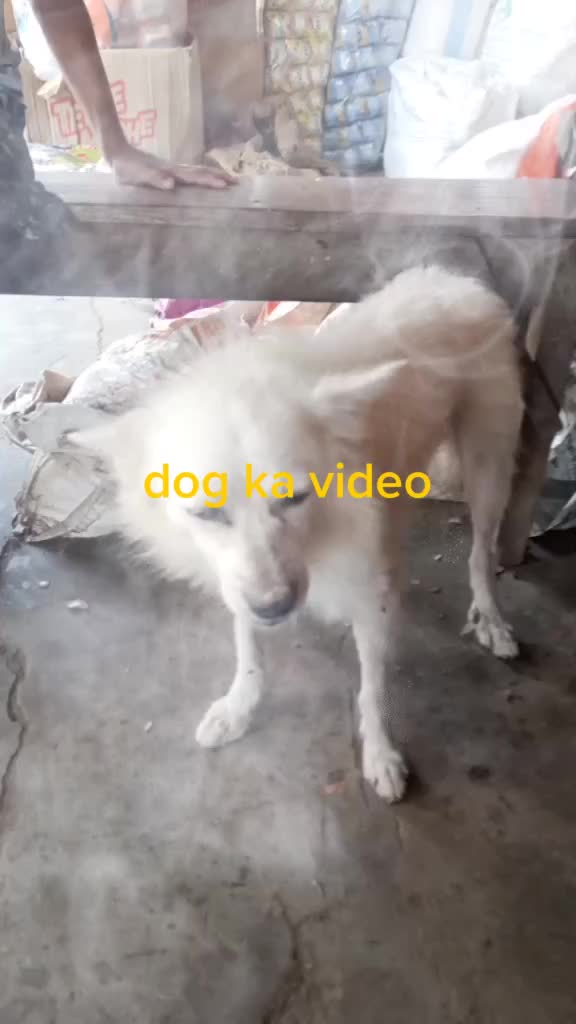 @monu Kumar Gupta