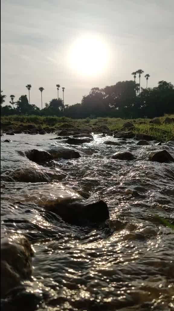 @vasurock