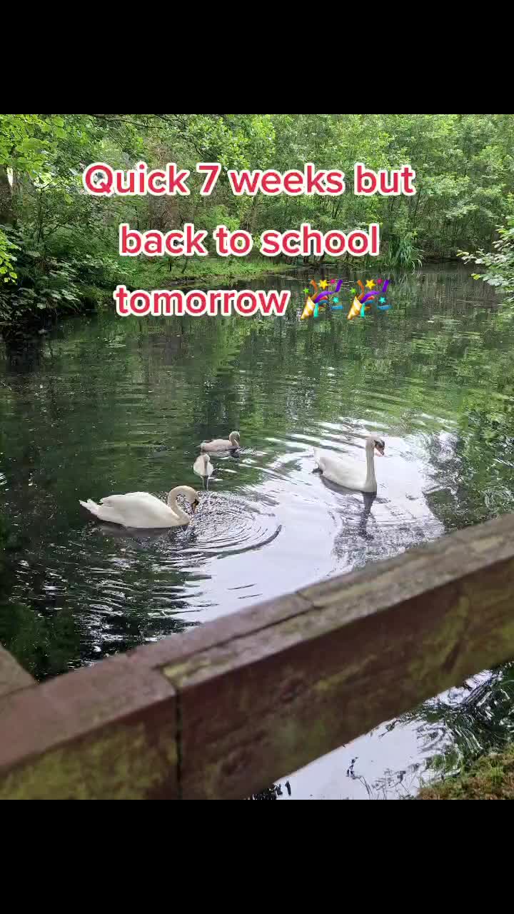 @Vikki ☆