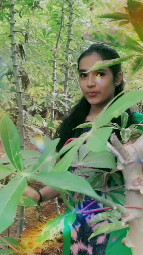 @Sreeshma Jijeesh