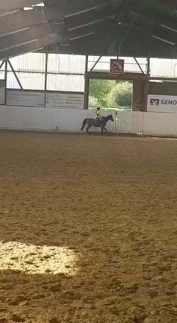 @Pony.gruppe❤️✨