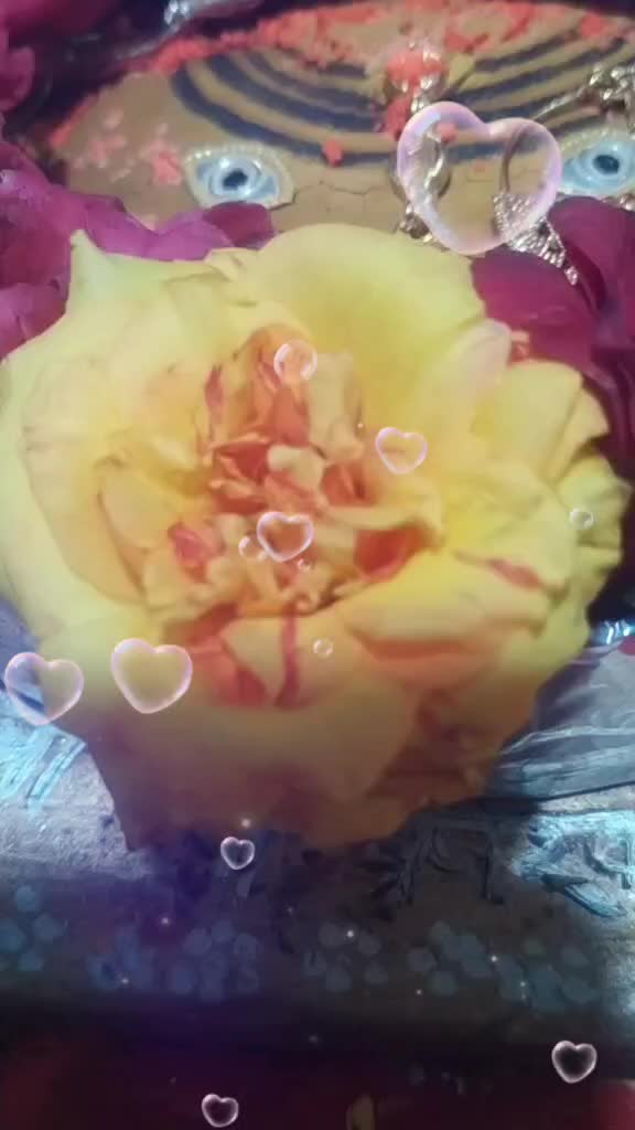 @Hardik Khattri