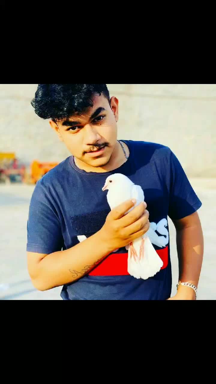 @Gopi Sarpanch