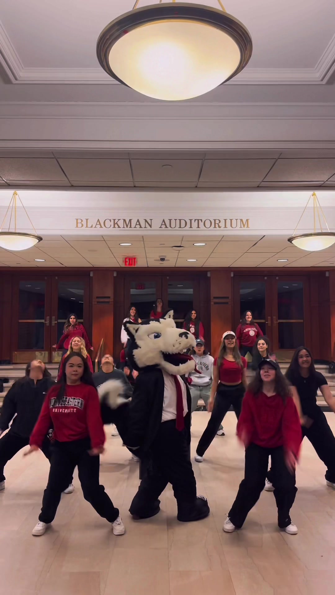 @Northeastern