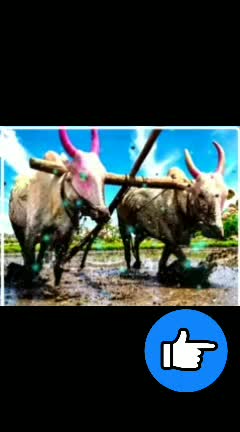 @munna,nadaf