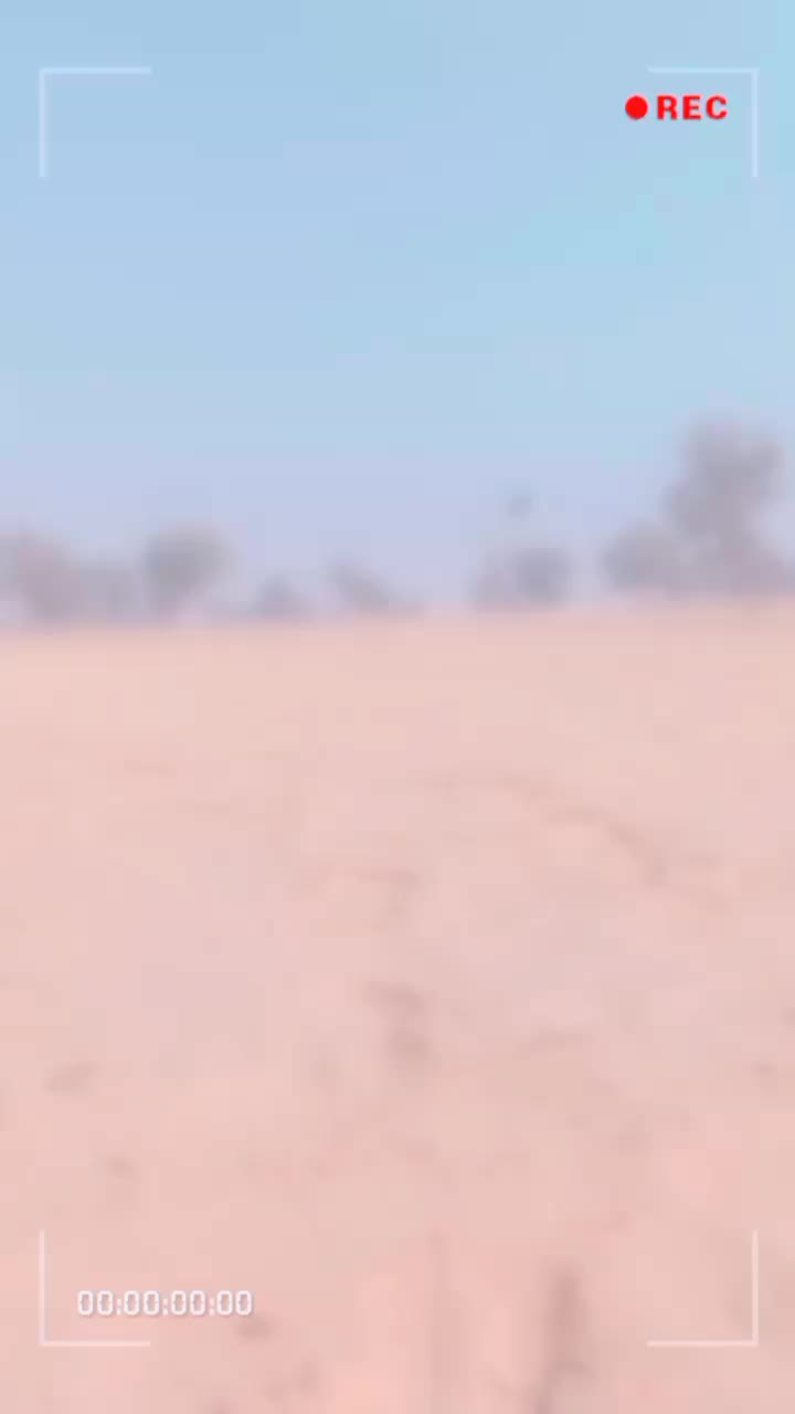 @Gurtej0141
