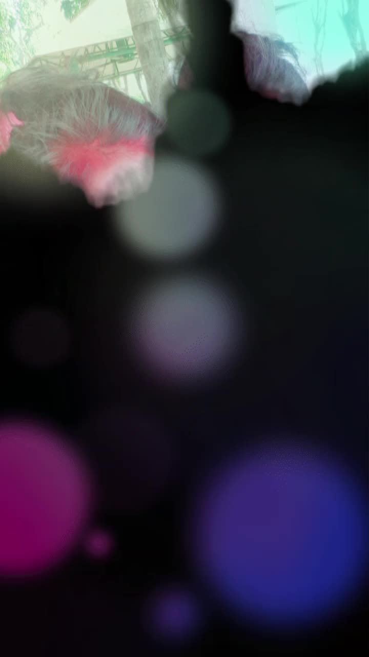 @๐น๐ป๐ฒ๐ท๐ฌ๐ฎ๐ผ๐ผ ๐ธ