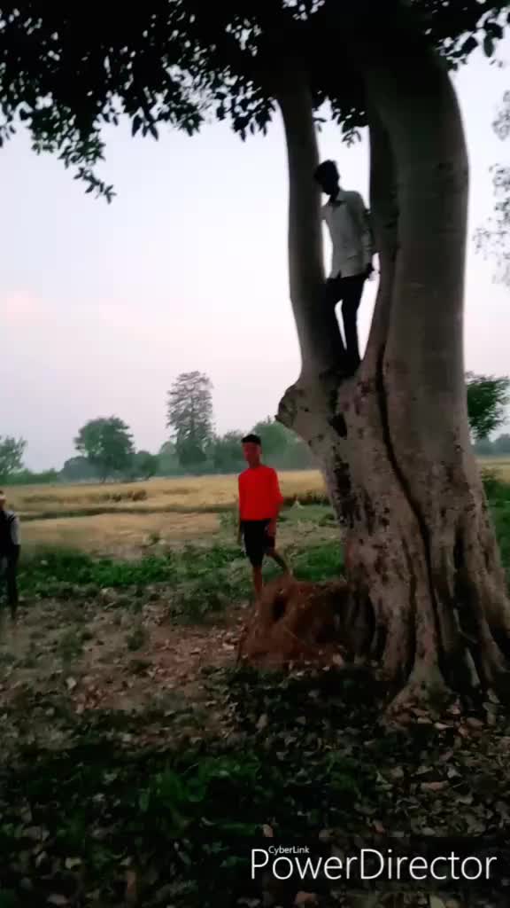 @miya bhai