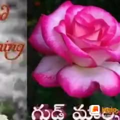 @Godasu Yadaiah