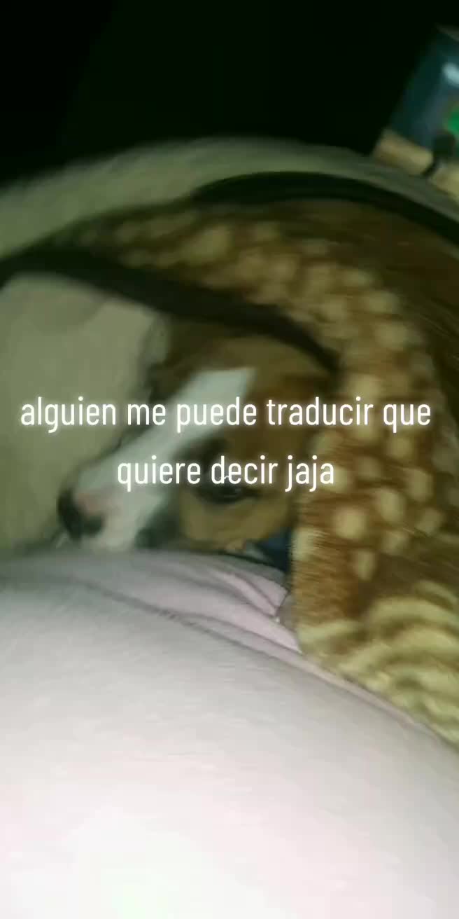 @Lily