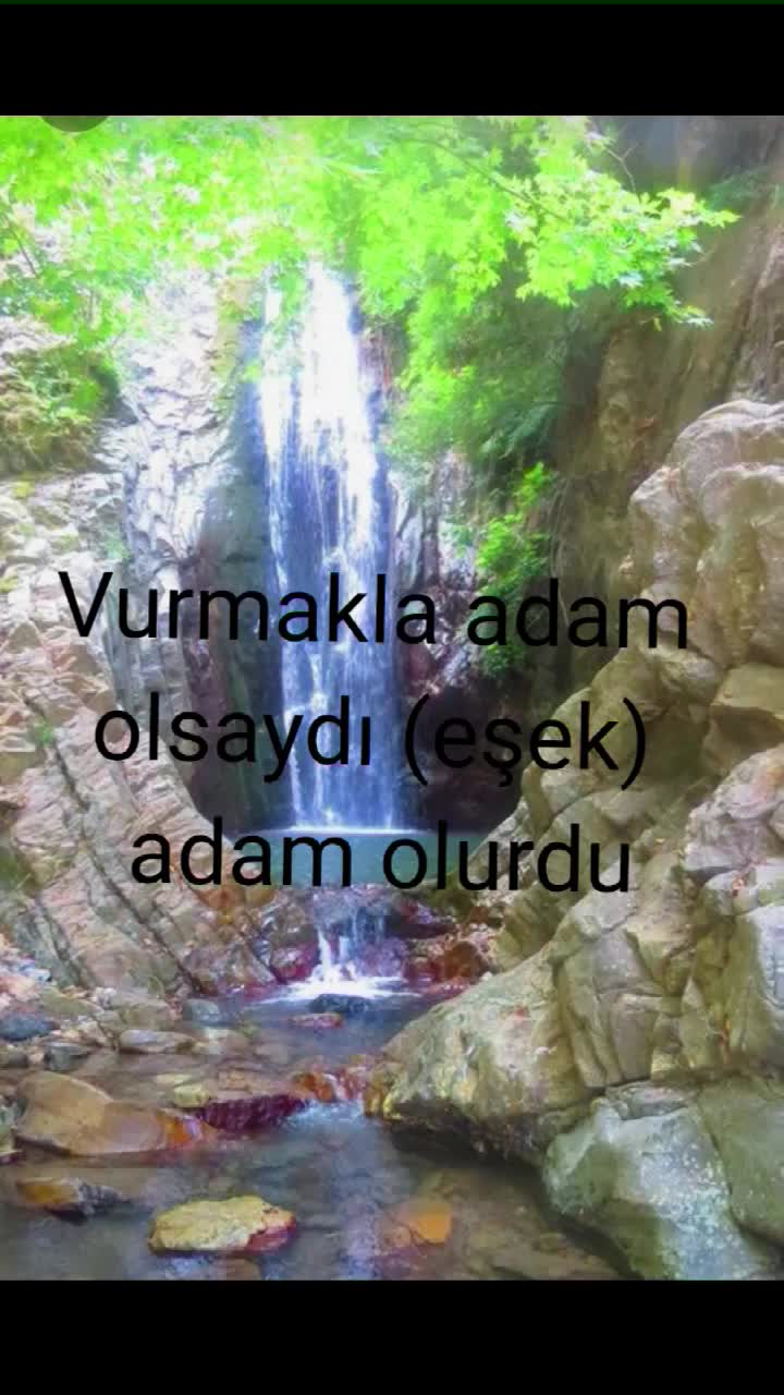 @bilaltekin08