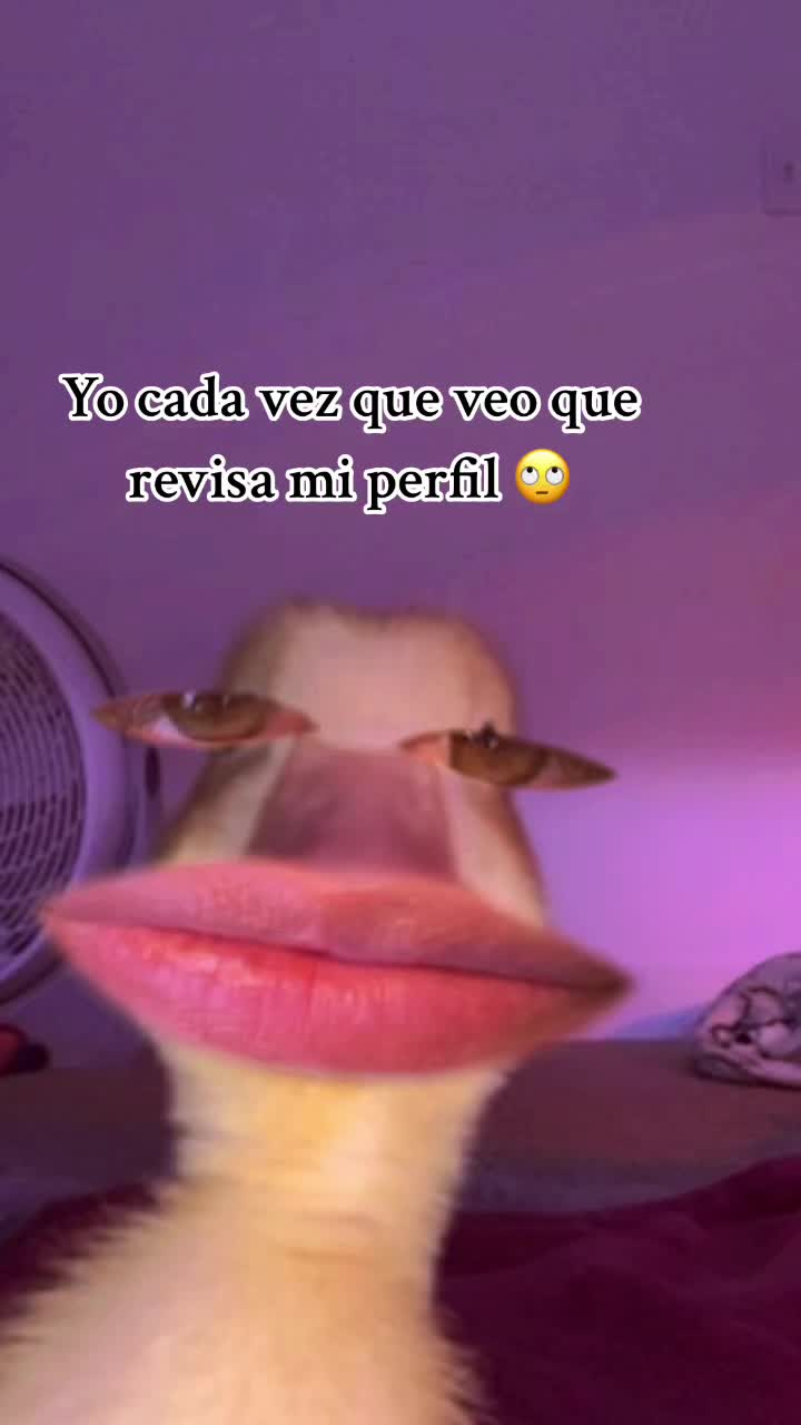 @Daniel🤍