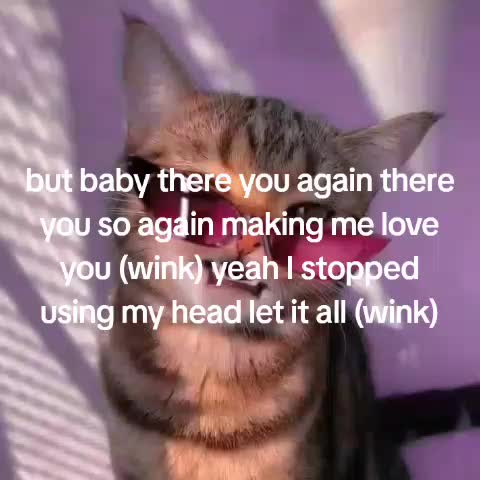 @๐๐๐๐๐๐๐๐.
