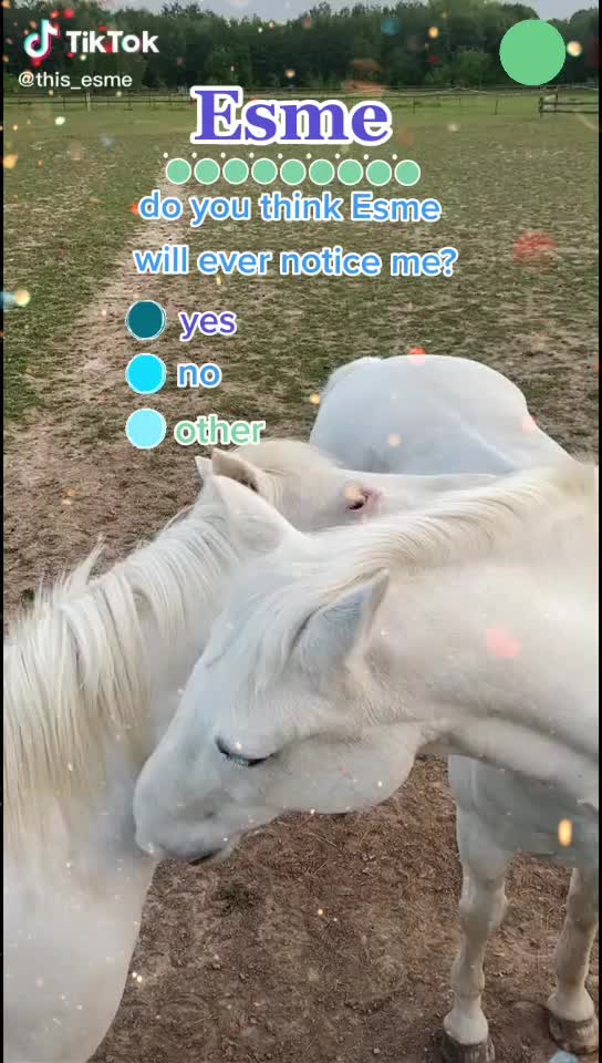 @𝐧𝐨𝐭𝐢𝐜𝐞𝐝 0𝐱
