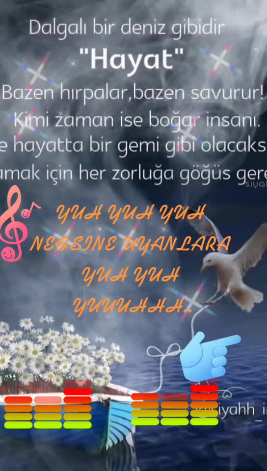 @Nazire Koc