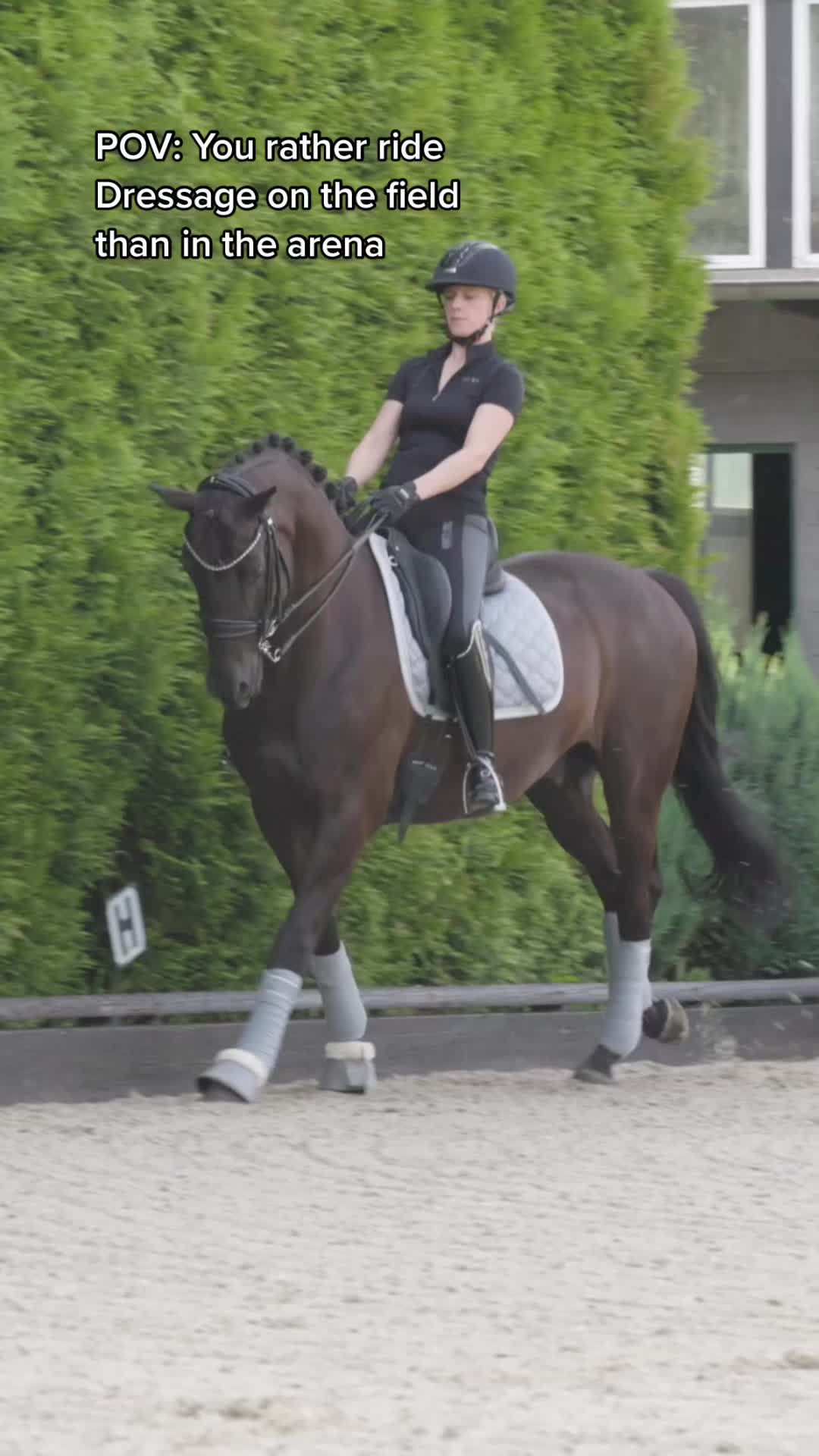@Schwarze Equestrian