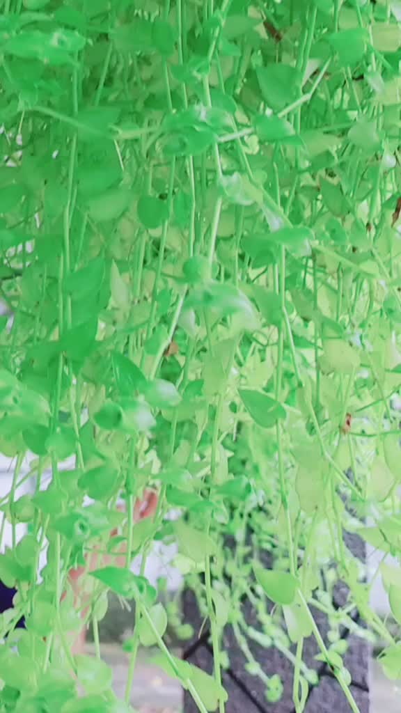 @Thumbi ponnu😘😘