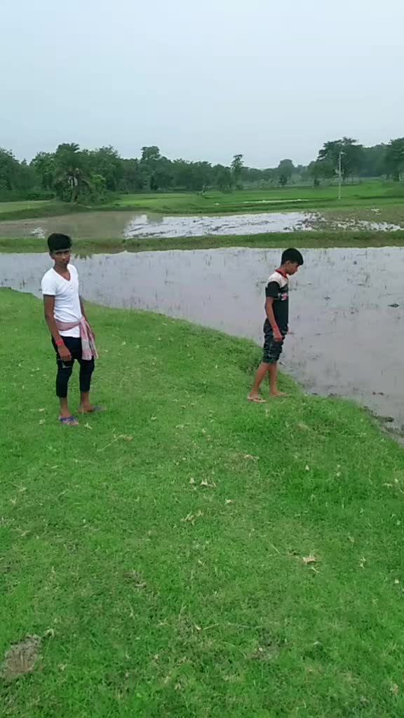 @RAHUL ANSARY