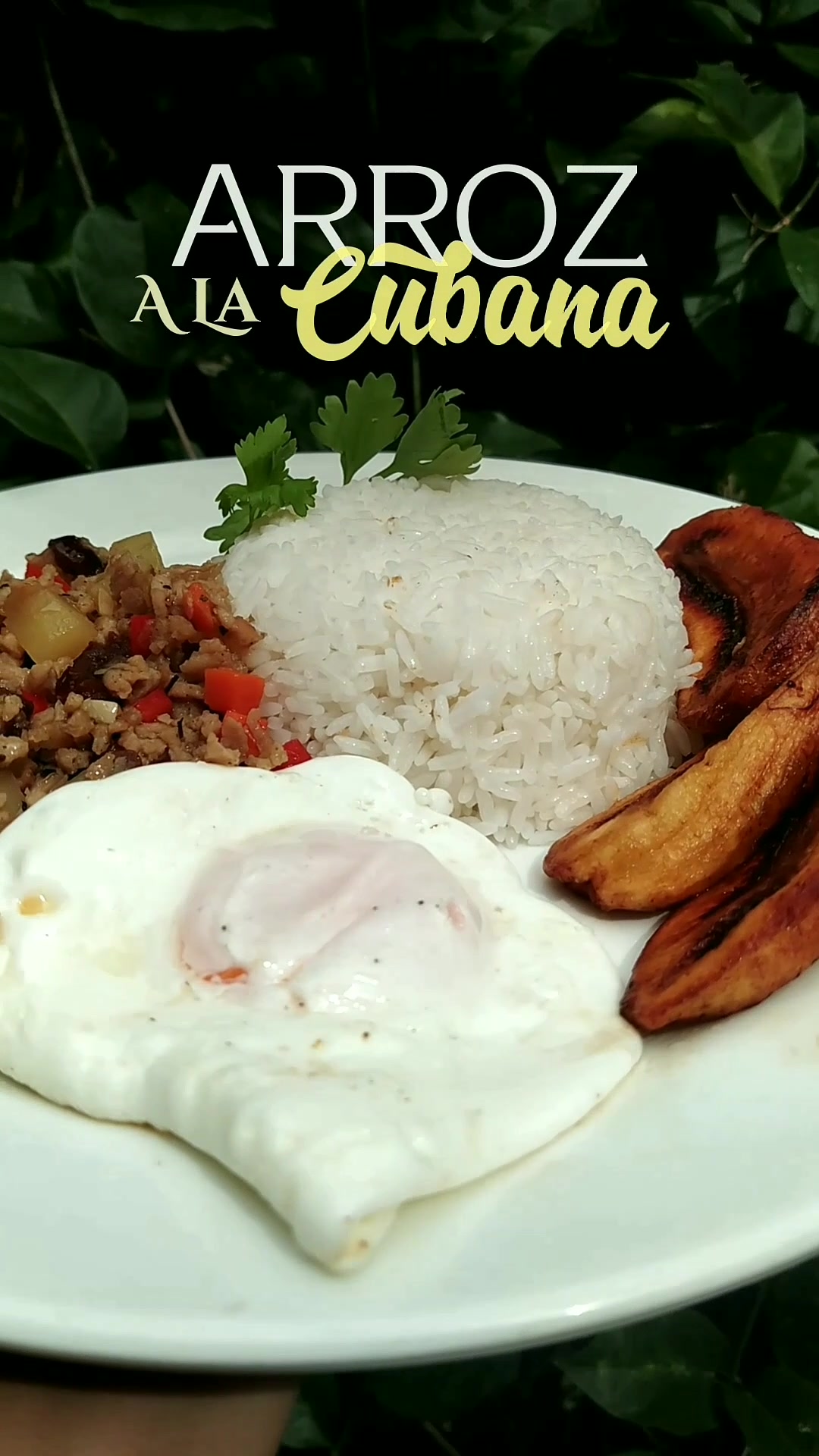 @Kravez Foodie