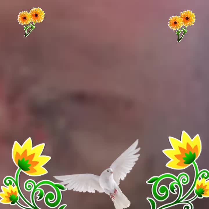 @bunny 225