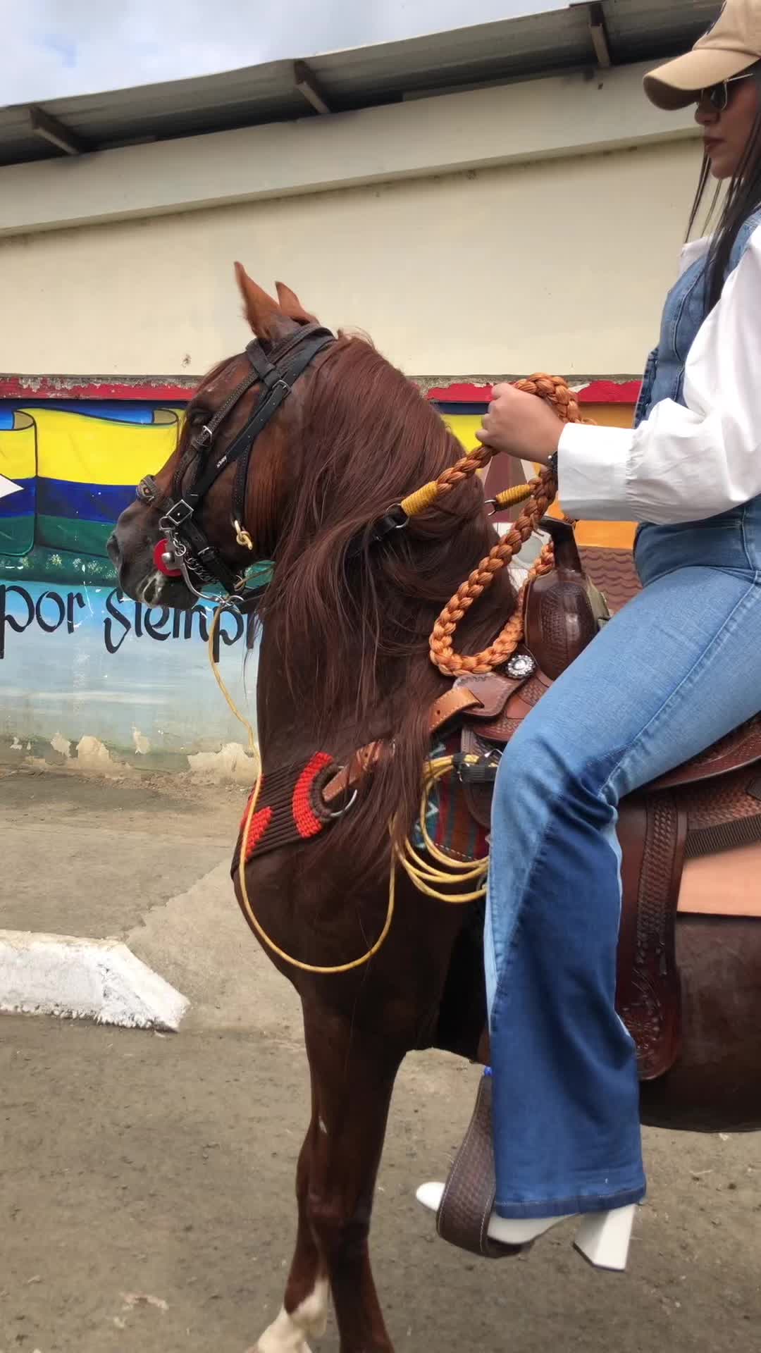 @Isa 🐴👩🏻⚕️