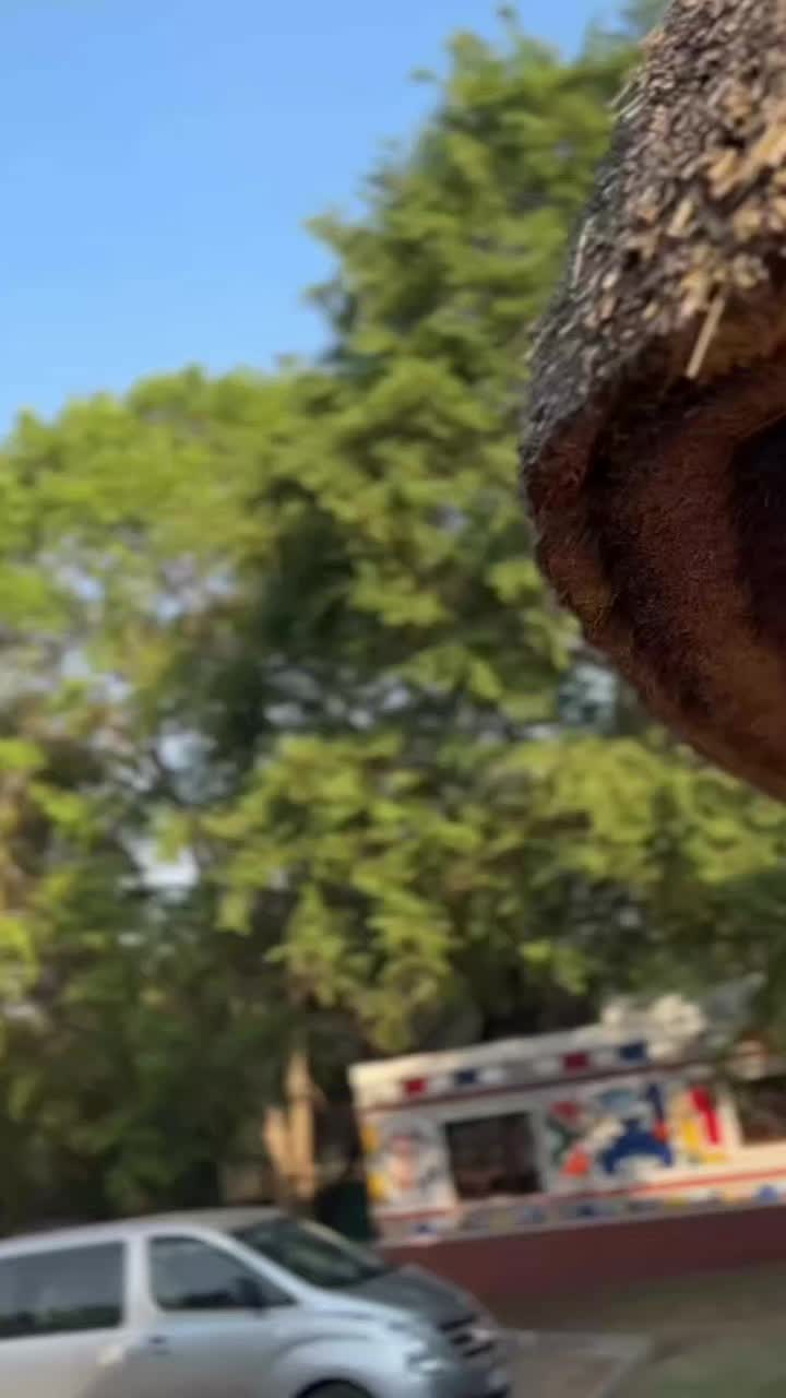 @A