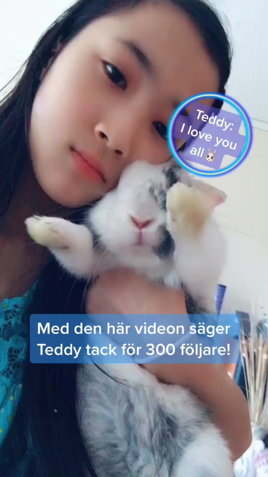 @🐰❤️