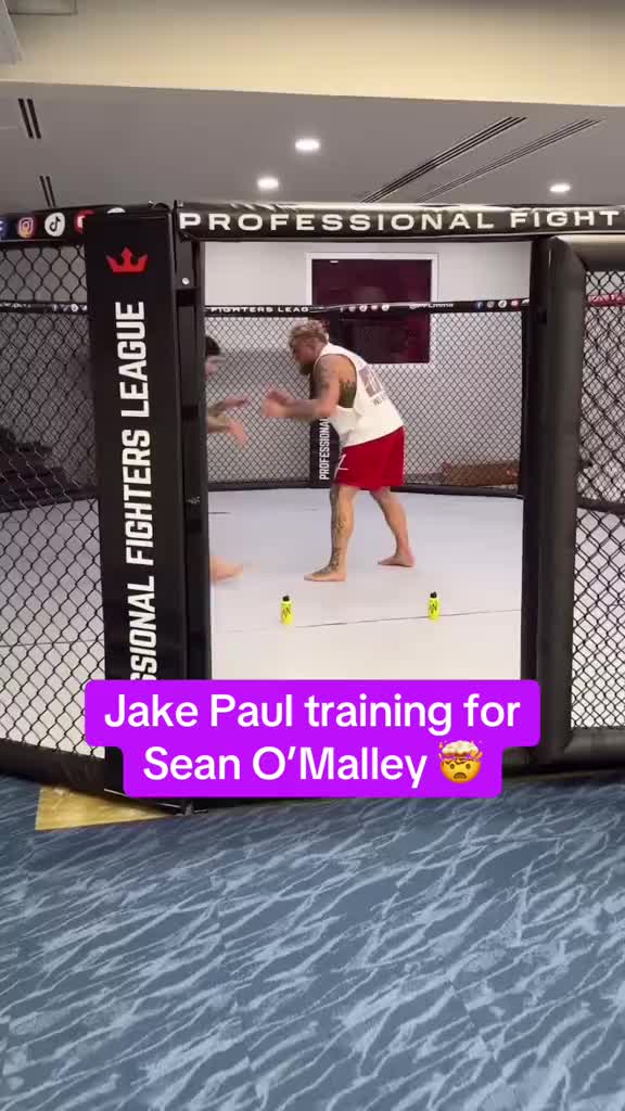 @UFC_Chipz
