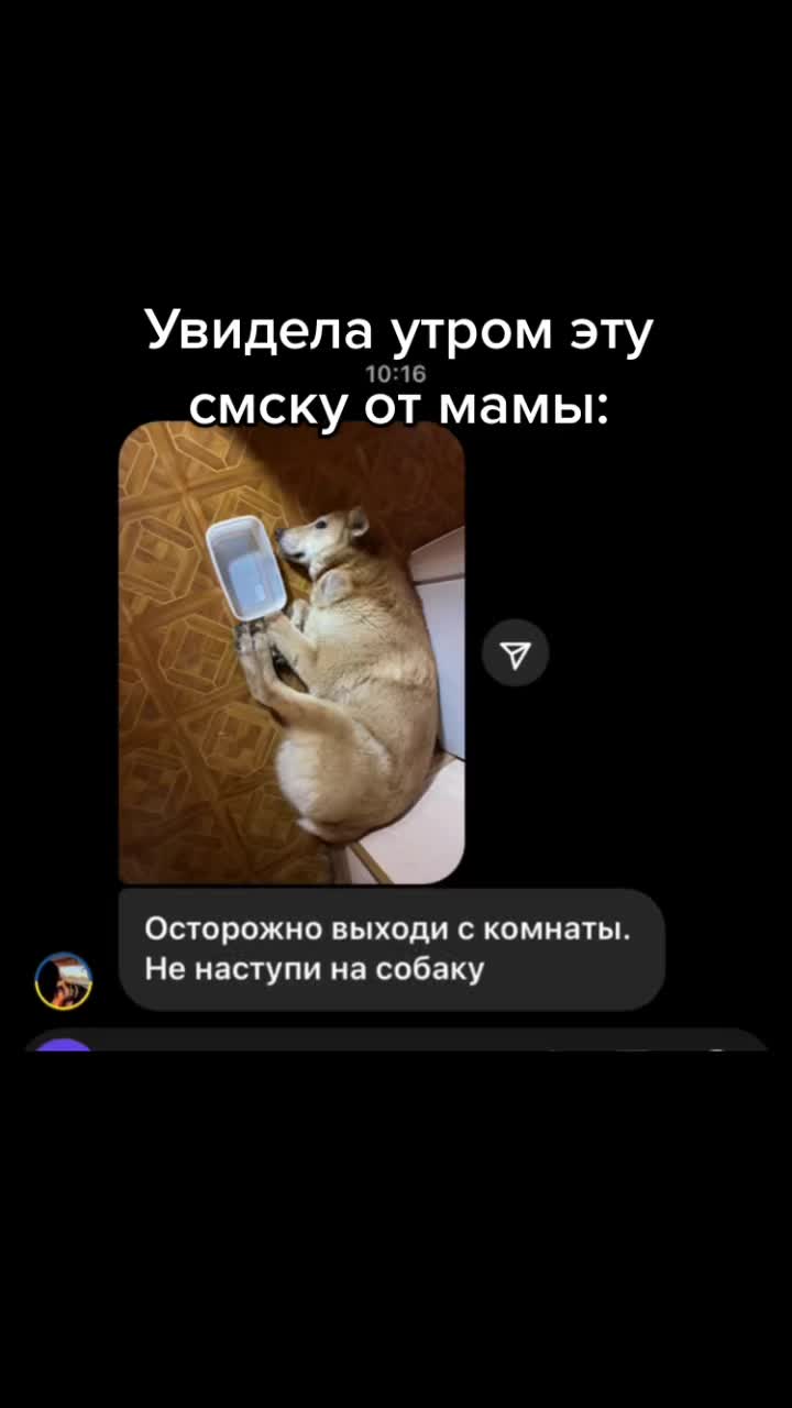 @rabbit_1918