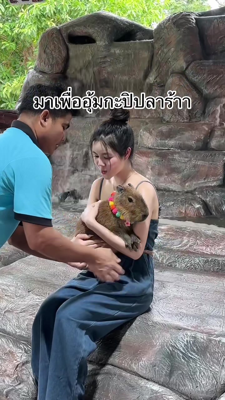 @กอ กอ